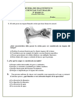 5º Básico CIENCIAS