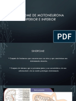 Sindrome Motoneurona Superior e Inferior