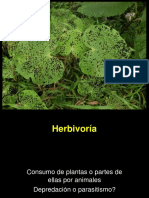 Herbivoria 2016