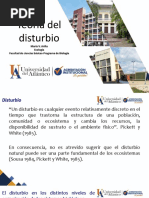 teoría del disturbio.pptx