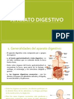 Anatomia - Aparato Digestivo