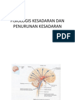 Fisiologis Kesadaran Dan Penurunan Kesadaran