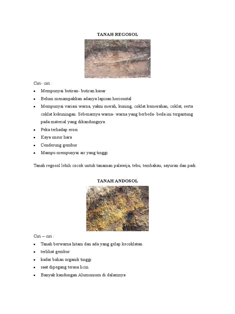 Tanah Regosol PDF