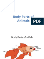 Body Parts of Animals