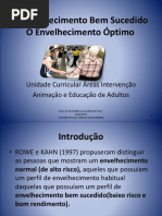 O Envelhecimento Bem Sucedido e a Velhice Otima