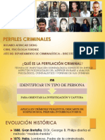 Perfiles PDF