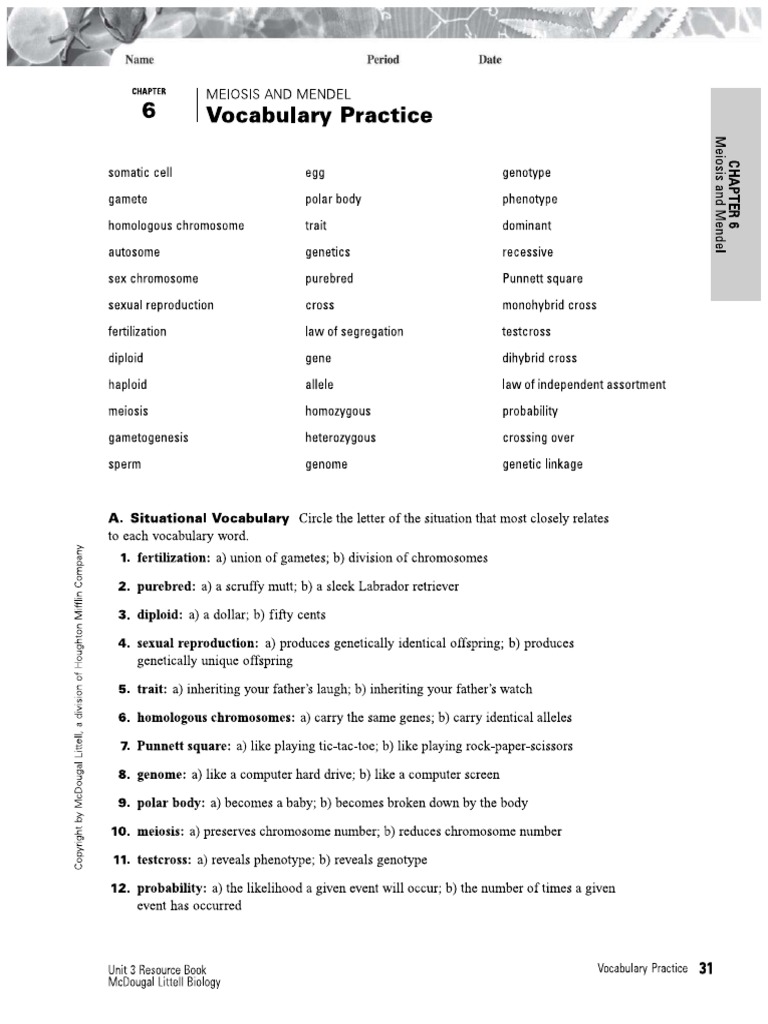 2 - Vocabulary Practice | PDF