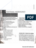 SISTEMA OSEO.pdf