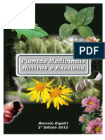 PLANTAS MEDICINAIS NATIVAS E EXÓTICAS.pdf