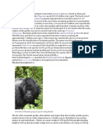Evolutionary History and Physical Description of Mountain Gorillas