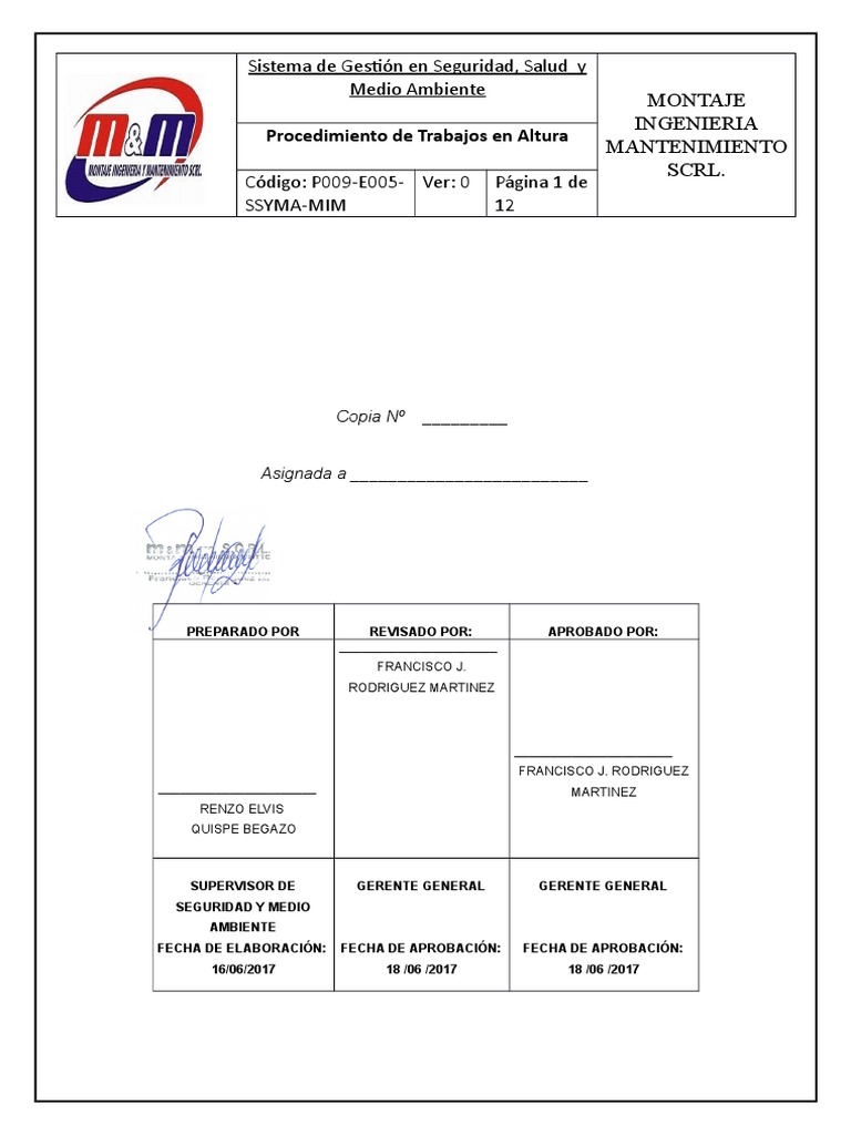 Acta Del Proceso - CSST | PDF | Andamio | Administración de Seguridad y ...