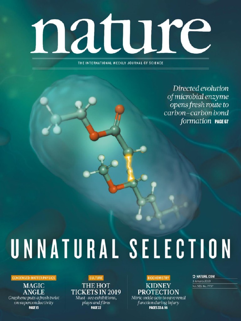 Nature Magazine 7737 2019-01-03 PDF | PDF | New Deal | Wind Power