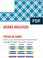 Acidos Nucleicos