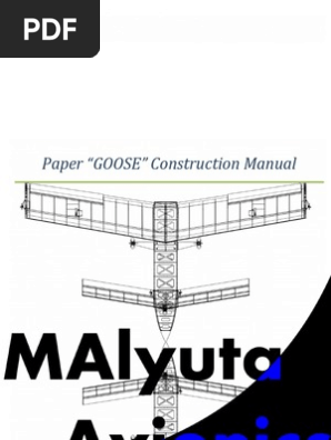 Flying 3D Paper Airplane Construction Manual (Cutout Nets Included!)