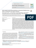 Above-Ground Woody Biomass Distribution in Amazonian Floodplain Forests