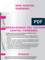 Sistema Genital Femenino