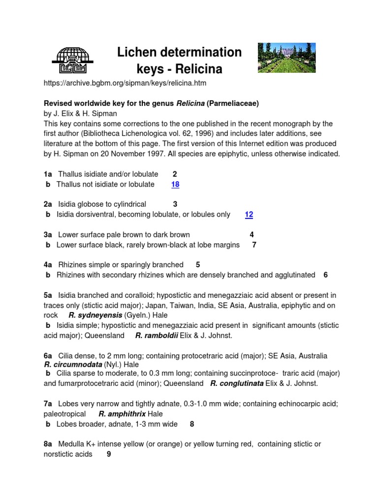 Key to Relicina Lichen Identification | PDF | Fungus | Eukaryotes