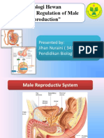 Male Reproduction Hormone Regulation