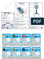 Bacteria Fungi Viruses: Chromosome Cell Membrane Capsid