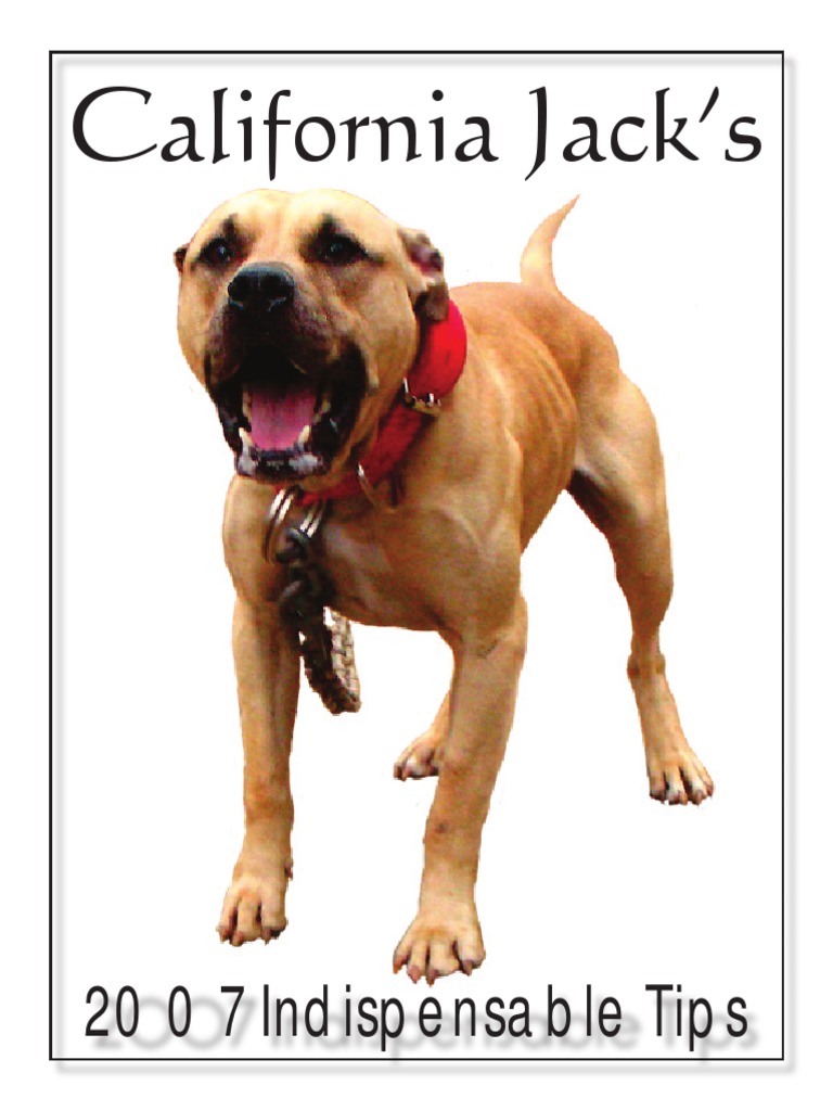 California Jack Indispensable Tips Pit Bull Terriers