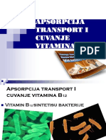 Apsorpcija Transport I Cuvanje Vitamina b12
