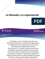 Manada y Organizacion