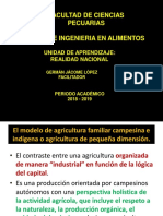 Cadena Agroalimentaria- Banano (3)-1