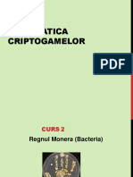 c2 - Regn Monera