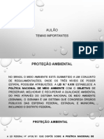 AULÃO TEMAS IMPORTANTES NPC1 2018.2.pdf
