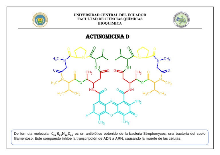 Actinomicina D PDF