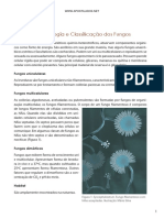 Morfologia, Fisiologia e Classificação Dos Fungos PDF
