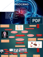 Sistema endocrino y sus hormonas