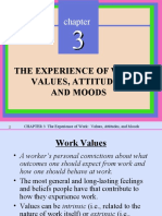 The Experience of Work: Values, Attitudes, and Moods