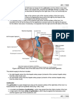 Anatomy Notes On Pancreas Grey