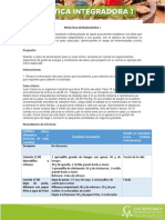 N1.pi1 Practica Integradora