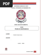 PRUEBA DE INDEPENDENCIA.docx