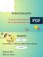 Rhino Sinusitis 2
