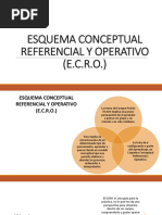 Esquema Conceptual Referencial y Operativo (E