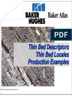 Thin Bed Descriptors Thin Bed Locales Production Examples