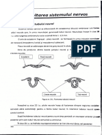 embriologie colocviu.pdf