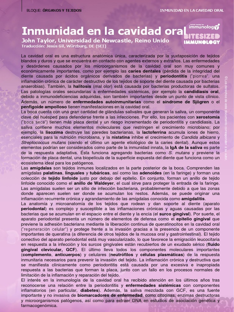 Immunity in The Oral Cavity (Inmunidad en La Cavidad Oral) PDF | PDF ...