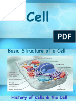 11 Cell Structure