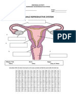 Individual Activity Reproductive System