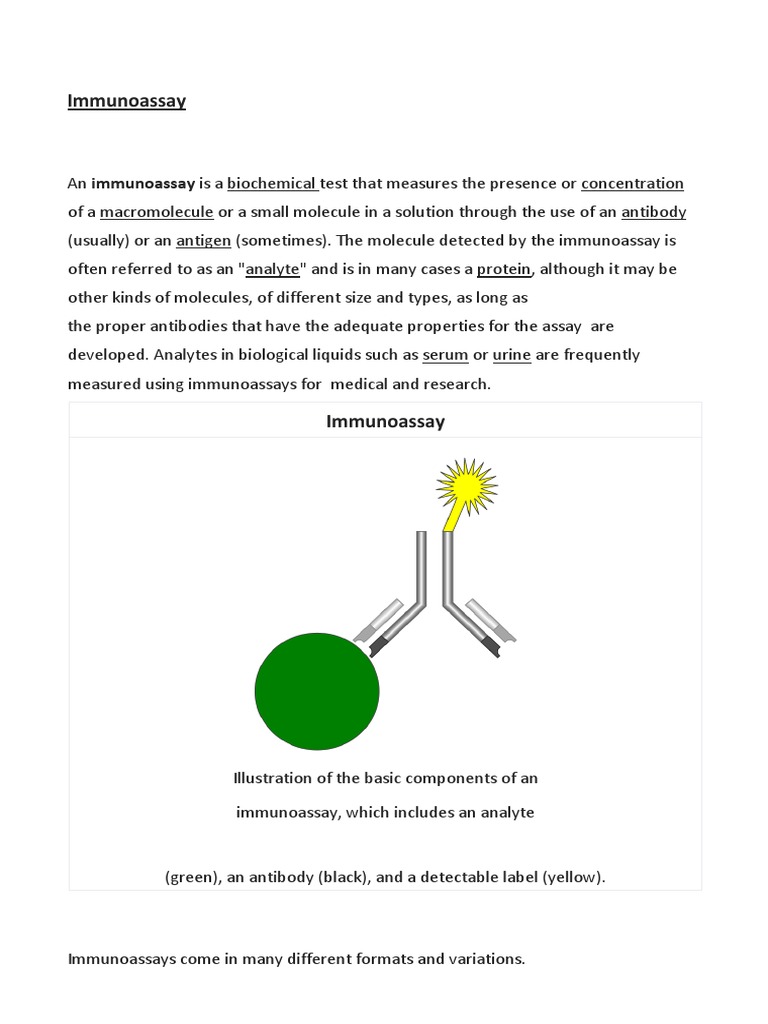Immunoassay PDF Immunoassay Western Blot