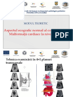 13 Cardiologie Fetala - Medici PDF