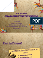 2019-2 Anat Fonctionnelle