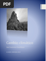 Practica_Final_2010.docx