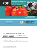 Script-Tmp-Intasp Guia de Monitoreo 2012bdt22 PDF