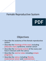 Reproductive System Histology