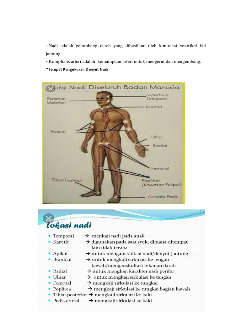 Rangkuman Nadi Pdf